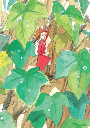 Studio ghibli the secret - studio,